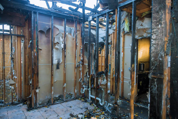 Professional Soot Cleanup technician working in Palmyra, WI